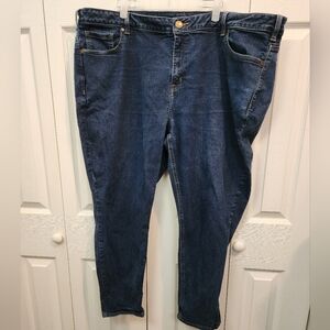 Lane Bryant Skinny Jeans